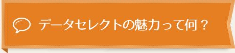 データセレクトの魅力って何？